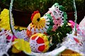 041  DSC_1794a1
